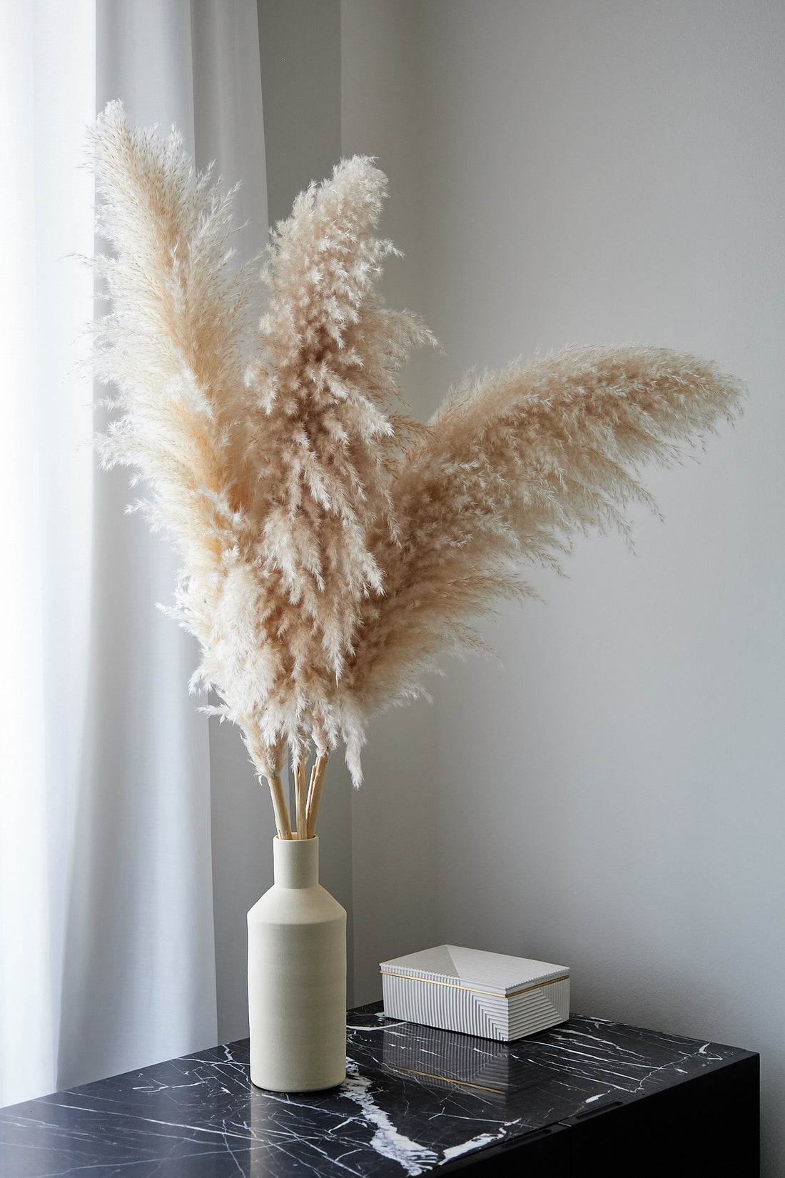 Rama grande de pampas grass